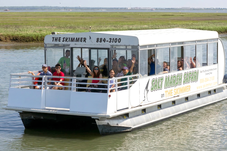 Things To Do Salt Marsh Safar - The Skimmer